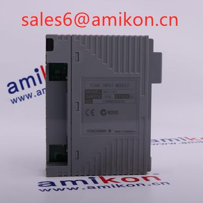 sales6@amikon.cn——YOKOGAWA AAM51-S2